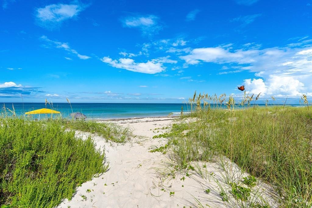 A sandy path leads through beach grass toward the ocean under a bright blue sky — HUTCHINSON ISLAND, FL