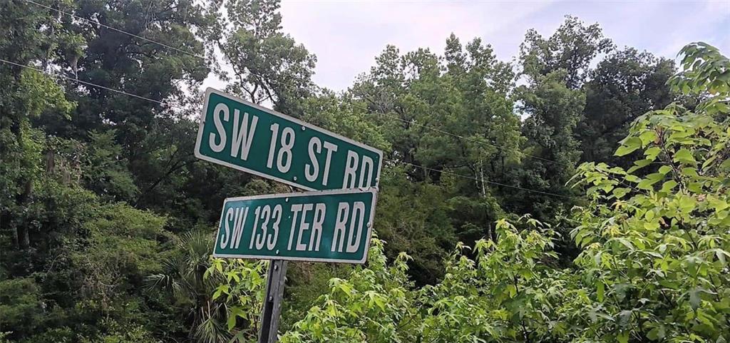 Two green street signs stand against a background of dense green trees — SW 18 STREET, OCALA, FL