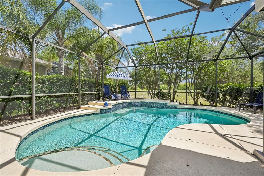 A screened-in swimming pool with a raised spa and patio furniture in a backyard setting — 259 DAHLIA COURT, BRADENTON, FL