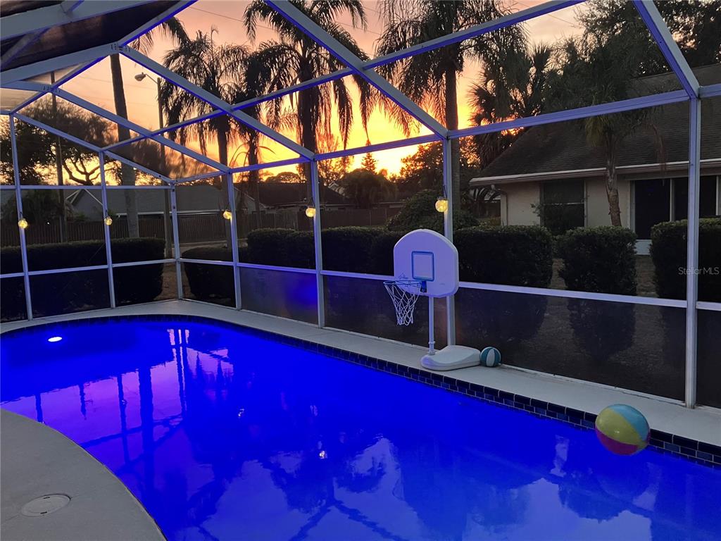 A swimming pool with a basketball hoop is enclosed by a screened lanai at sunset — 798 COUNTRYSHIRE LANE, PALM HARBOR, FL
