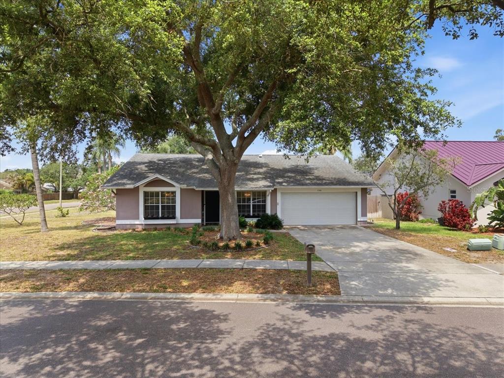 A single-story house with a large tree in the front yard and a concrete driveway — 798 COUNTRYSHIRE LANE, PALM HARBOR, FL