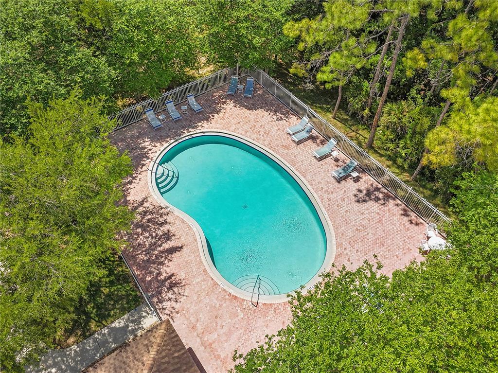 An aerial view shows a kidney-shaped swimming pool surrounded by a brick patio and trees — 8635 HUNTERS KEY CIRCLE, TAMPA, FL