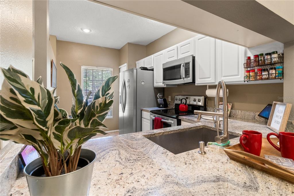 A kitchen features granite countertops, white cabinets, stainless steel appliances, and a potted plant — 8635 HUNTERS KEY CIRCLE, TAMPA, FL