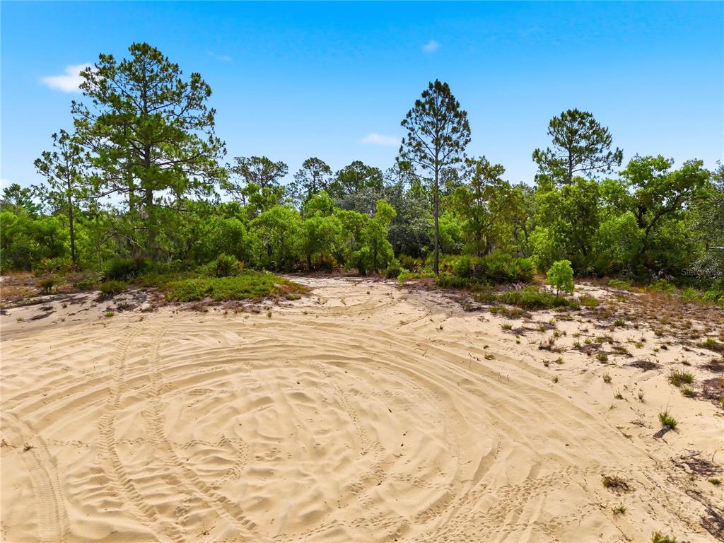 A sandy, cleared lot features tire tracks in the foreground and a line of trees — LEMON DRIVE, LAKE WALES, FL