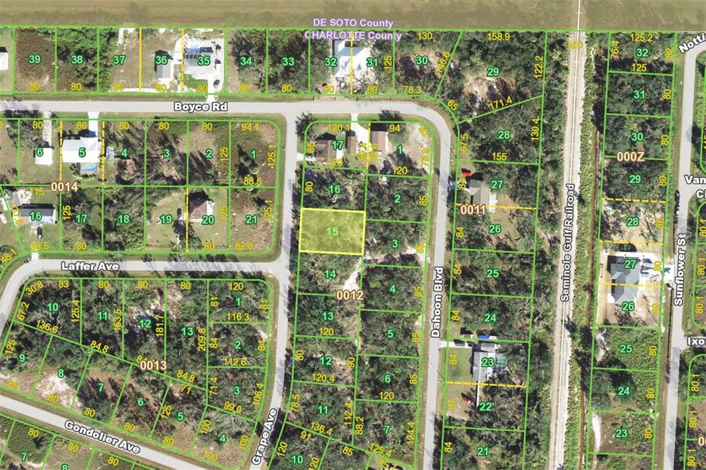 This is a property tax map showing residential lots, streets, and parcel boundaries — 38 GRAPE AVENUE, PUNTA GORDA, FL