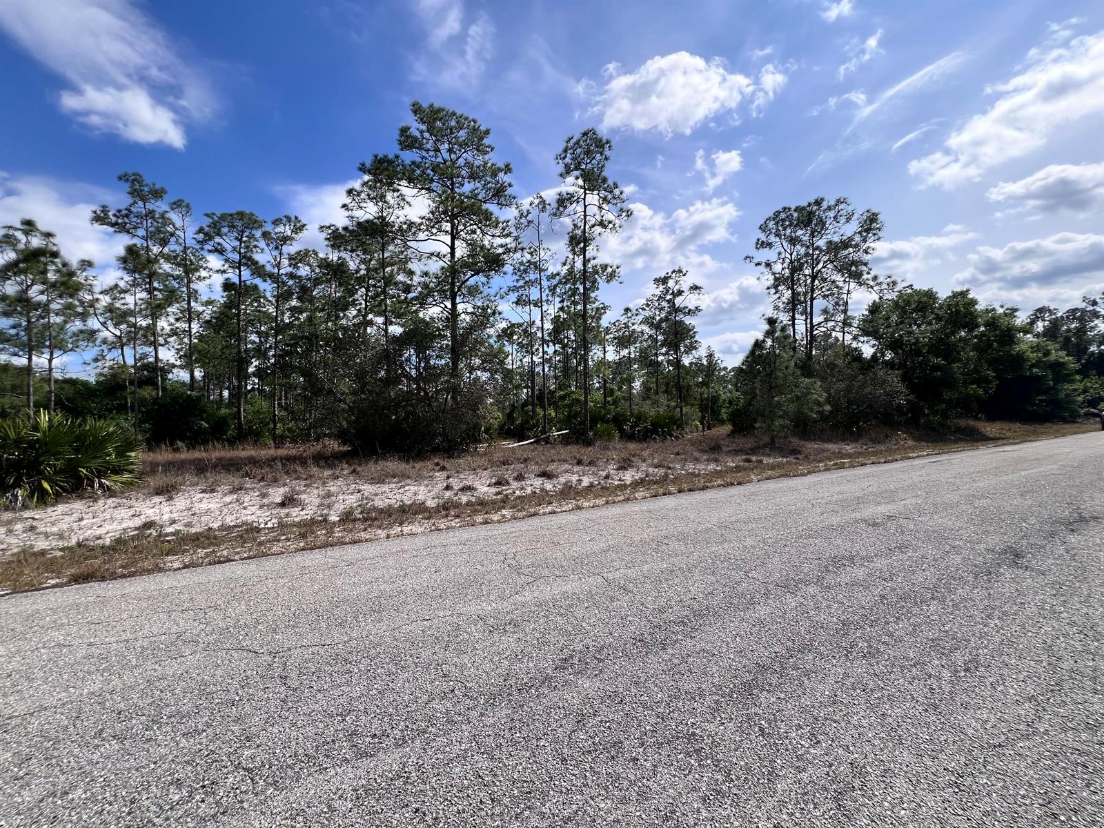 A paved road runs alongside a vacant, sandy lot with pine trees under a cloudy sky — 1506 E 15th Street, FL 33972, FL