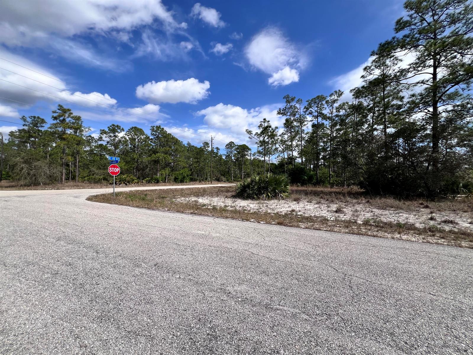 An asphalt road curves past a stop sign and a wooded lot under a blue sky — 1506 E 15th Street, FL 33972, FL