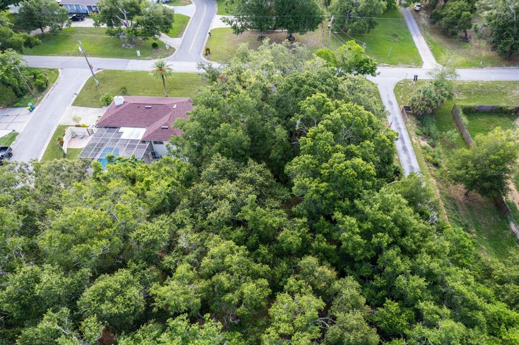 An aerial view shows a house with a pool enclosure surrounded by dense trees — COUNTRY CLUB ROAD, EUSTIS, FL