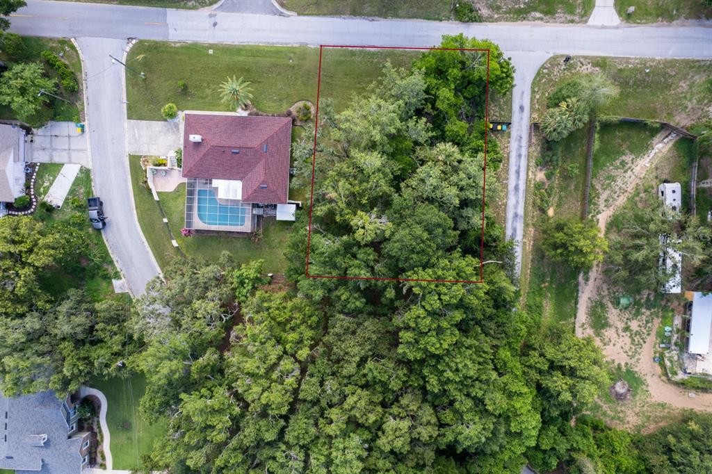 An aerial view shows a rectangular, tree-covered vacant lot outlined in red between two houses — COUNTRY CLUB ROAD, EUSTIS, FL