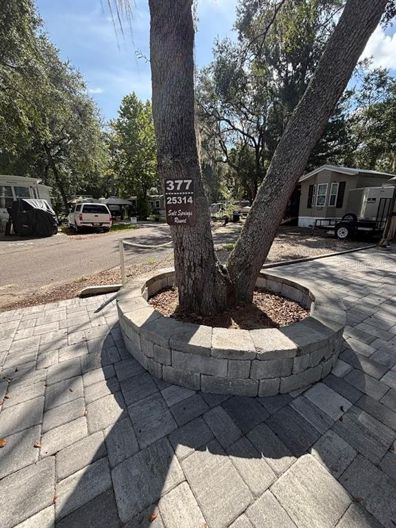 A large tree with a stone planter base stands in a paved outdoor area — 25314 NE 141ST STREET UNIT 377, SALT SPRINGS, FL