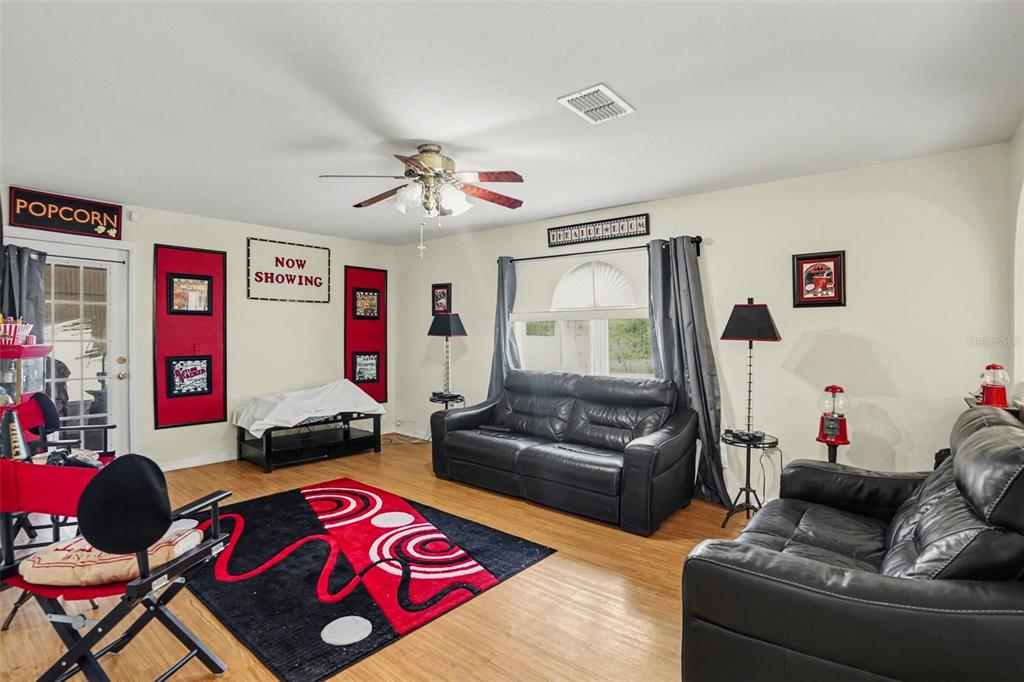 A living room features black leather sofas, a red and black area rug, and movie-themed decor — 720 VALRICO HILLS LANE, VALRICO, FL