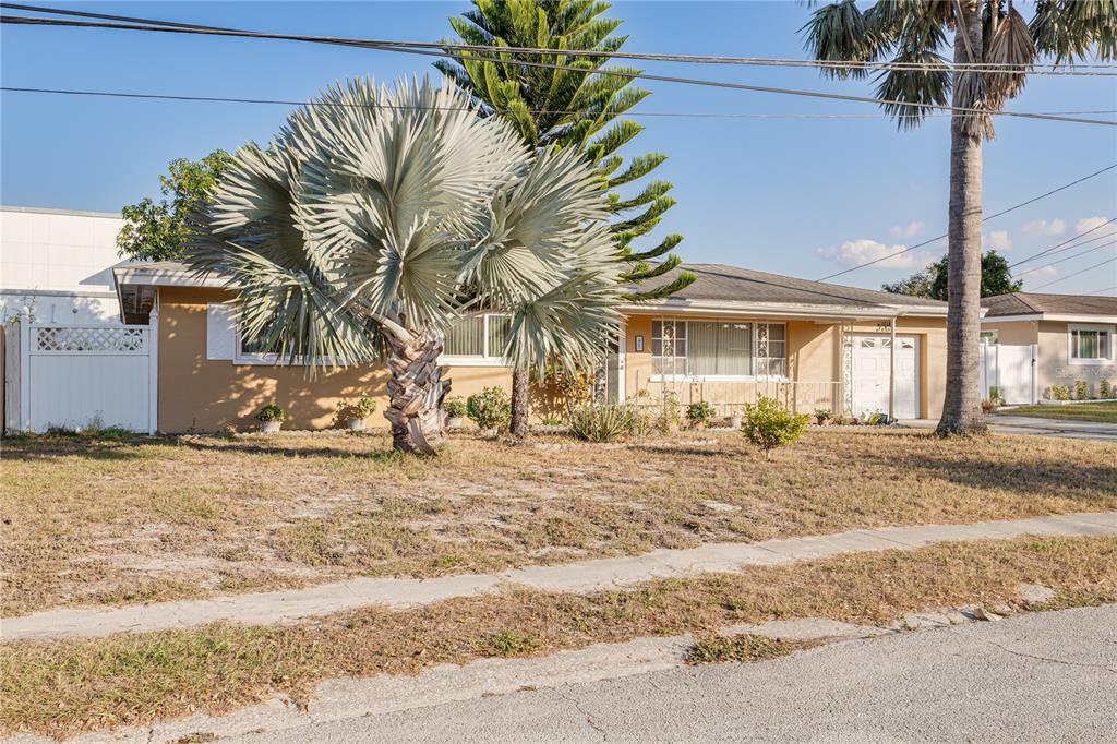 A single-story house with a tan exterior, a large palm tree, and a front lawn — 1715 S JEFFERSON AVENUE, LARGO, FL