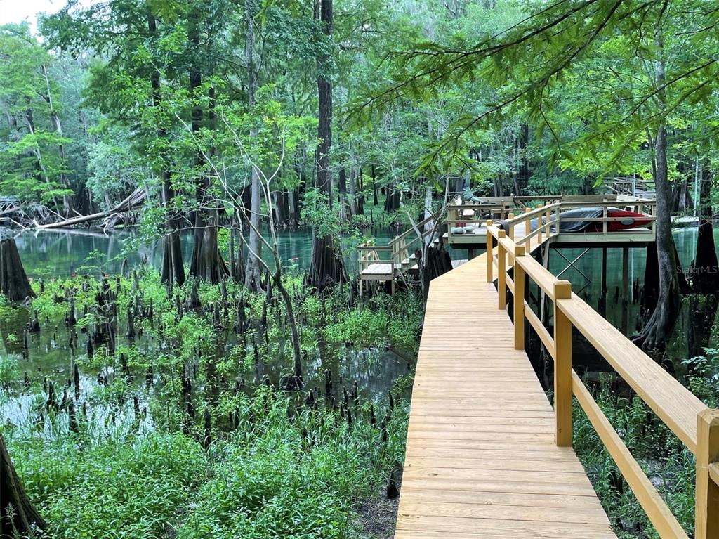 A wooden boardwalk leads to a deck overlooking a cypress swamp with a small boat — 1376 RIVERSIDE AVENUE, FORT WHITE, FL