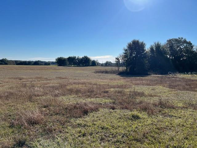 A wide, grassy field stretches toward a line of trees under a clear blue sky — 0 NW 95TH STREET Lot 8, ANTHONY, FL