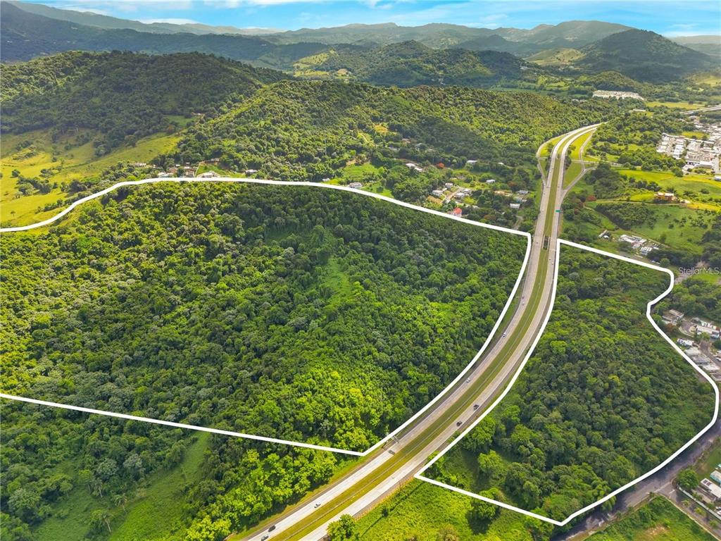 An aerial view shows two forested land parcels separated by a divided highway — BO MAIZALES CALLE BORGES FINAL, NAGUABO, PR