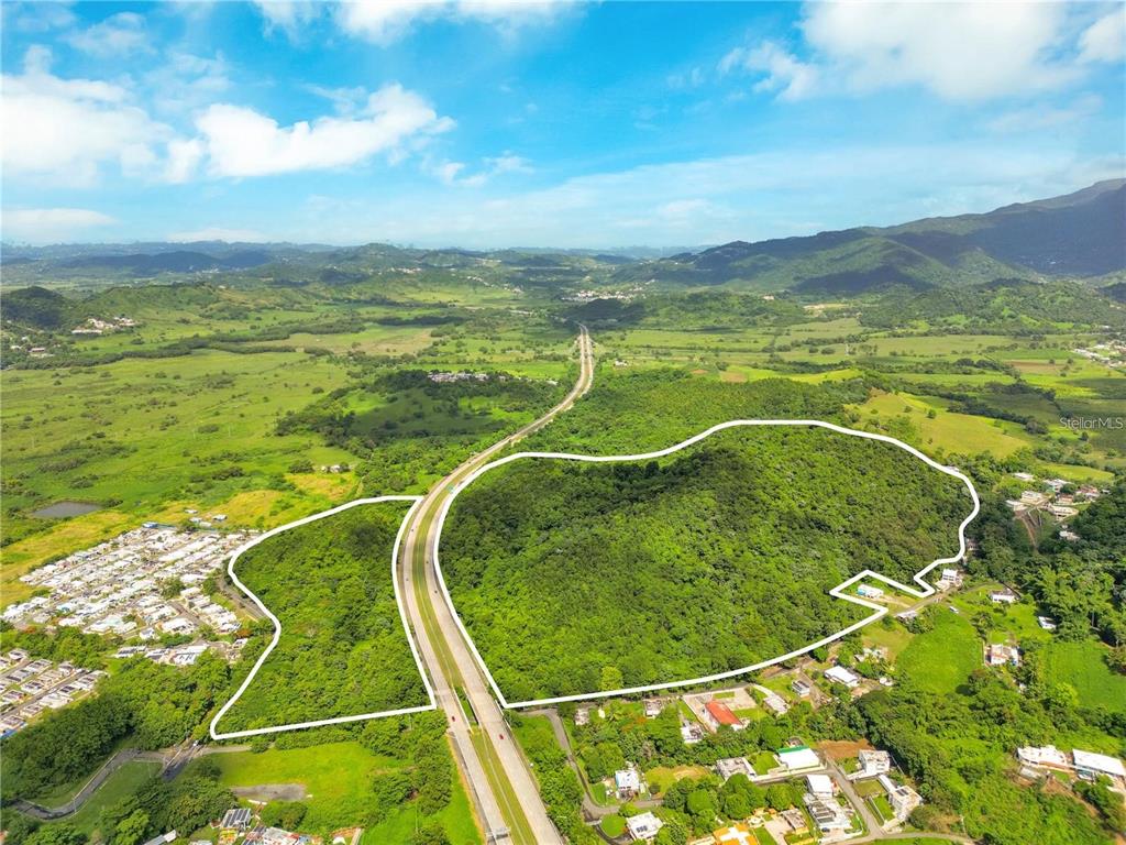 An aerial view shows two large, undeveloped plots of land divided by a highway — BO MAIZALES CALLE BORGES FINAL, NAGUABO, PR