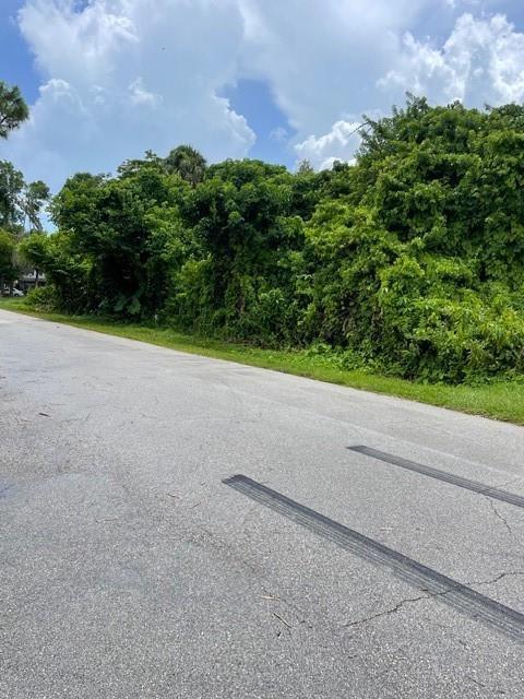 A paved road runs alongside a dense area of trees and overgrown vegetation — 555 Sacramento Street, FL 33903, FL
