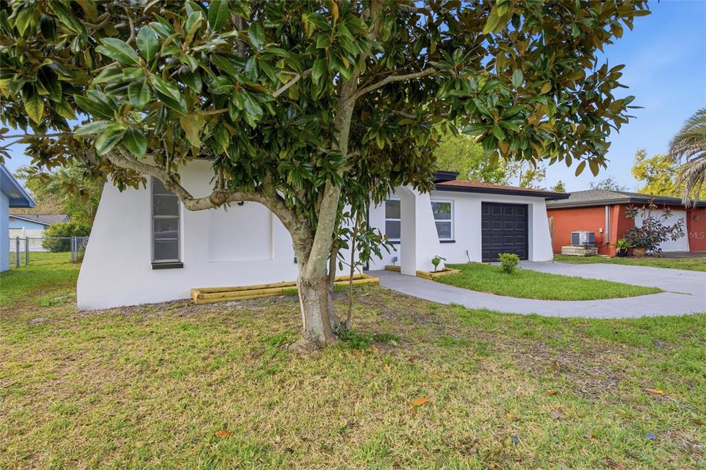 1811 DRIFTWOOD CIRCLE S, OLDSMAR, FL — photo 3 of 30