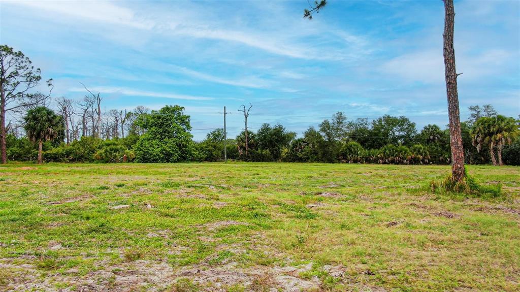 A large, flat, grassy lot with scattered trees under a blue sky — 223 BOUNDARY BOULEVARD, ROTONDA WEST, FL