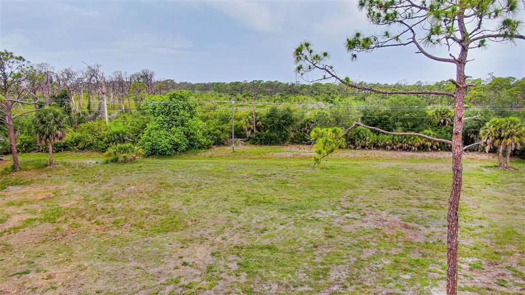 A large, grassy vacant lot features scattered pine trees and dense vegetation in the background — 223 BOUNDARY BOULEVARD, ROTONDA WEST, FL