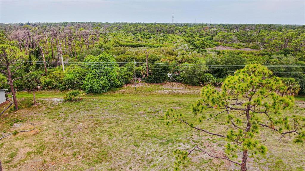 An elevated view of a grassy, undeveloped lot bordered by dense trees and power lines — 223 BOUNDARY BOULEVARD, ROTONDA WEST, FL