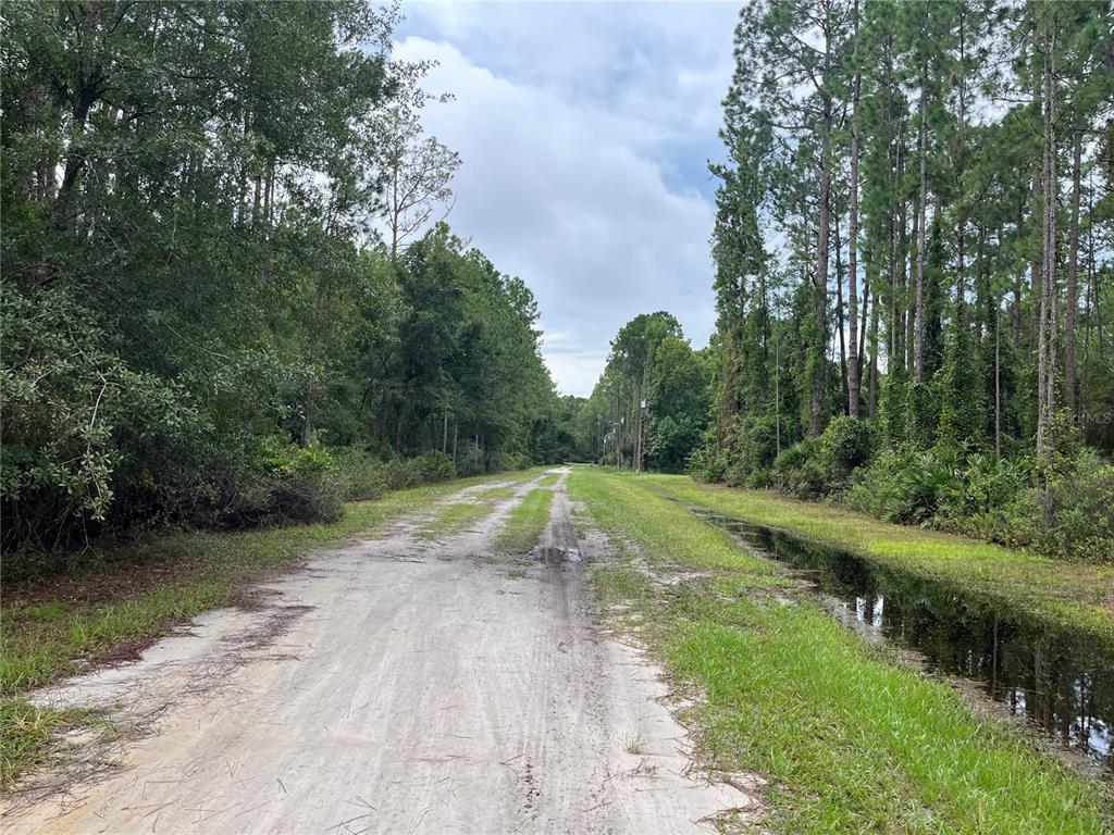 A dirt road runs through a wooded area with a drainage ditch on the right — 117 MOSSWOOD STREET, GEORGETOWN, FL