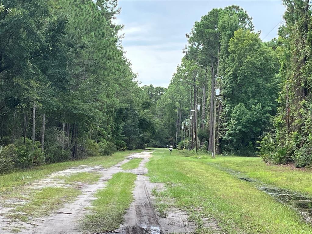 A dirt road leads through a wooded area with utility poles lining the right side — 117 MOSSWOOD STREET, GEORGETOWN, FL