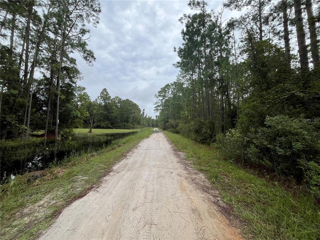 A dirt road runs through a wooded area with a small pond on the left — 117 MOSSWOOD STREET, GEORGETOWN, FL