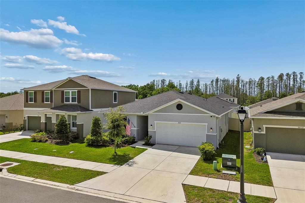 20121 AZUL MARBLE LOOP, LAND O LAKES, FL — photo 3 of 30