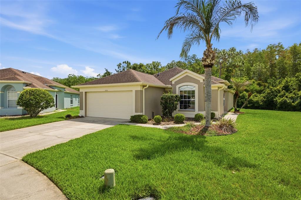 A single-story suburban house with a beige exterior, a two-car garage, and a palm tree — 5600 SIR BARTON COURT, WESLEY CHAPEL, FL