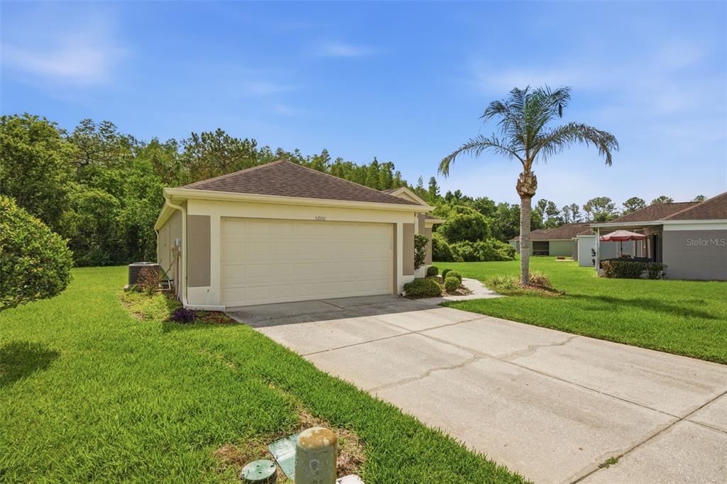 A tan house with a two-car garage and a palm tree in the front yard — 5600 SIR BARTON COURT, WESLEY CHAPEL, FL