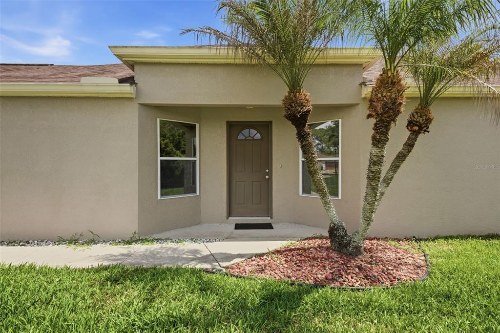 The exterior of a beige house features a front door, two windows, and palm trees — 5600 SIR BARTON COURT, WESLEY CHAPEL, FL