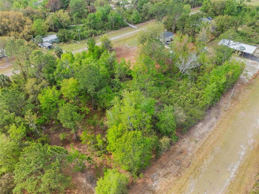 An aerial view shows a wooded, undeveloped rectangular lot bordered by a dirt road — 515 GARDENIA AVENUE, GEORGETOWN, FL
