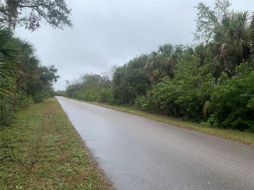 A paved road stretches through a wooded area with dense green trees and palms — 14452 MOLLA AVENUE, PORT CHARLOTTE, FL