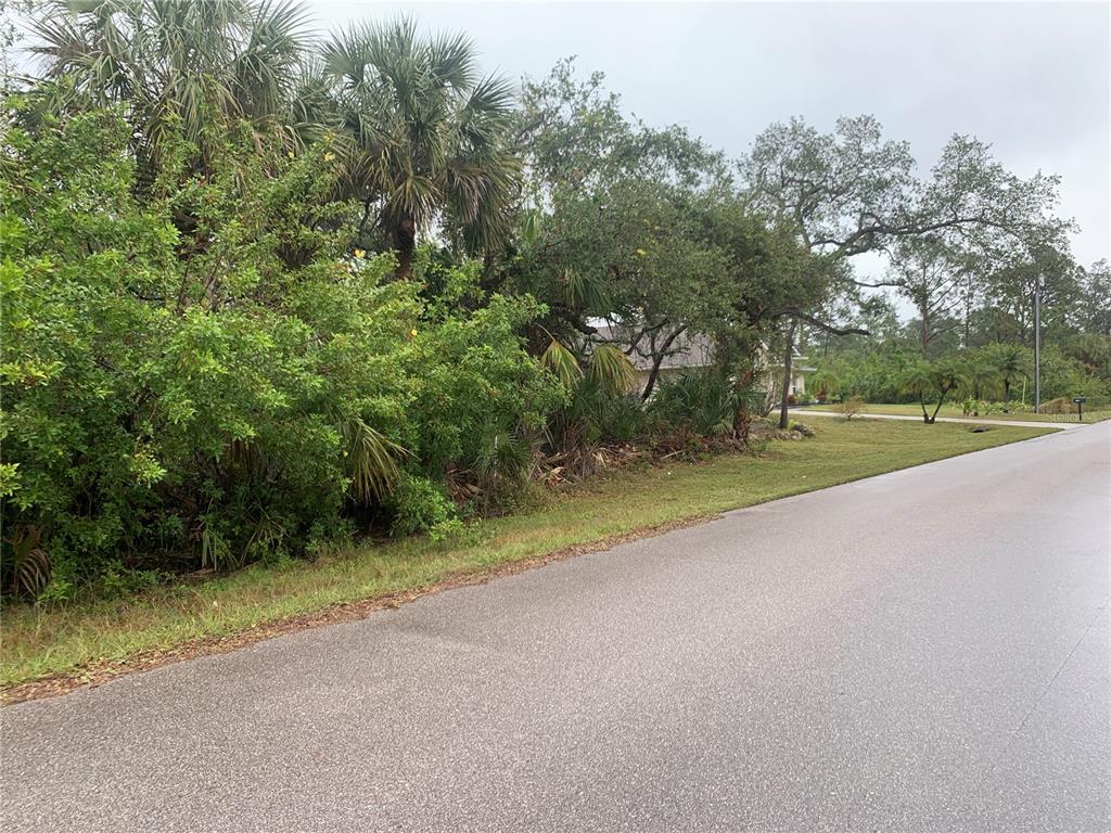 A paved road runs alongside a grassy lot with dense trees and shrubs — 14452 MOLLA AVENUE, PORT CHARLOTTE, FL