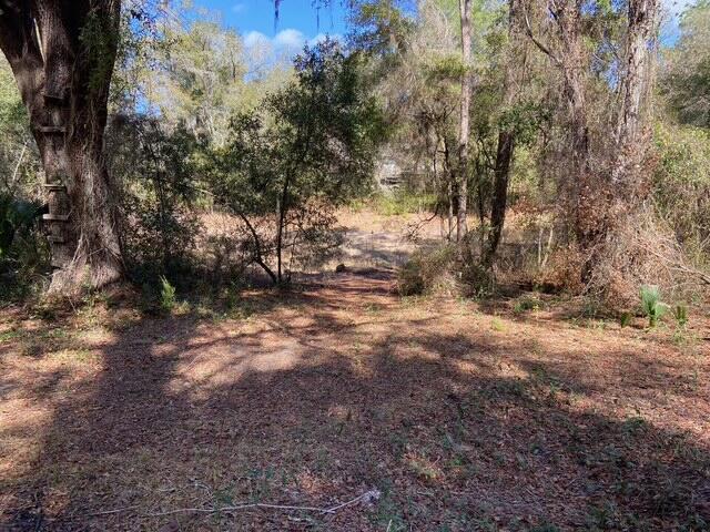 A wooded lot with a large tree in the foreground and dense forest in the background — 15137 NE 141st Street, FL 32134, FL