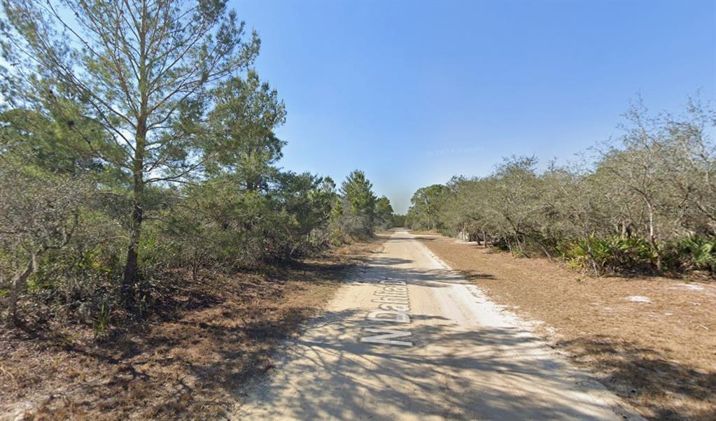 A dirt road stretches through a wooded area with trees and brush on both sides — 3235 N DAHLIA DRIVE, LAKE PLACID, FL