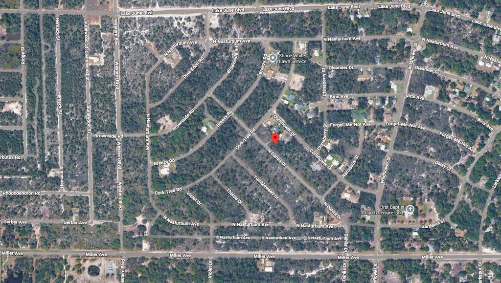 This is an aerial map view of a residential neighborhood with a red location marker — 3235 N DAHLIA DRIVE, LAKE PLACID, FL