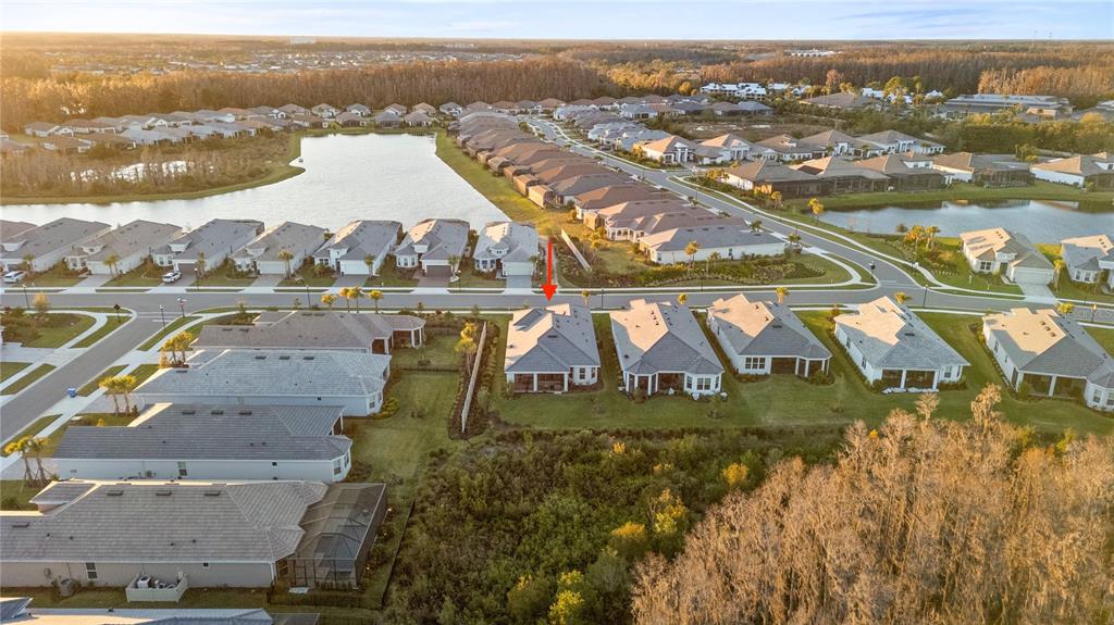 4618 ISONZO WAY, WESLEY CHAPEL, FL — photo 4 of 30