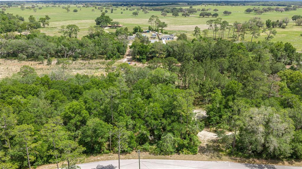 An aerial view shows a wooded lot bordering a road with houses in the distance — TBD SW SHOREWOOD DRIVE, DUNNELLON, FL