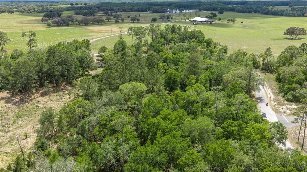 An aerial view shows a wooded lot bordered by a paved road and open fields — TBD SW SHOREWOOD DRIVE, DUNNELLON, FL