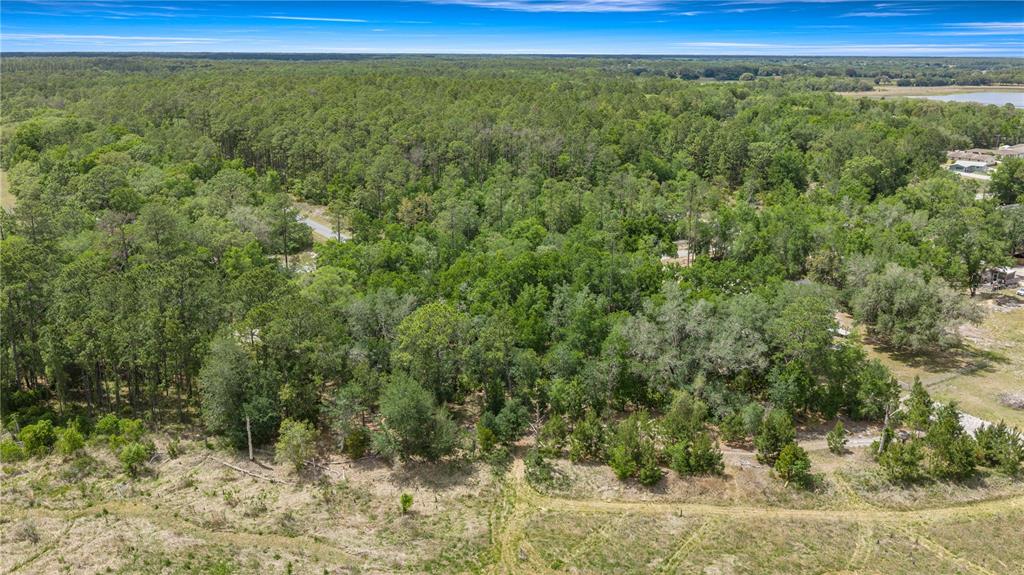 An aerial view shows a dense forest area adjacent to an open, grassy field — TBD SW SHOREWOOD DRIVE, DUNNELLON, FL