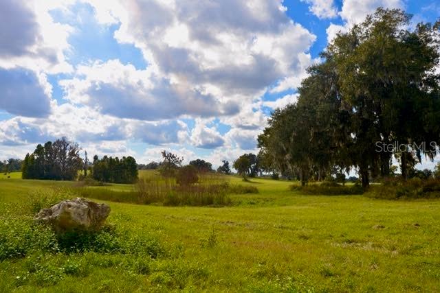 A large rock sits in a grassy field with scattered trees under a cloudy sky — 11750 SE 22ND AVE ROAD, OCALA, FL
