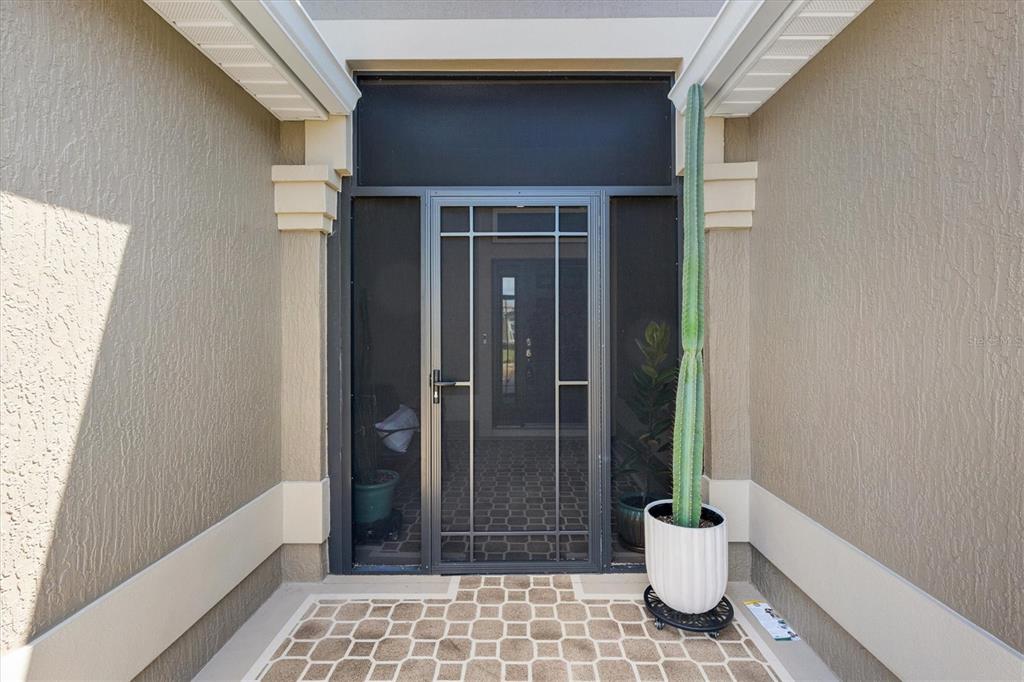 A tall potted cactus stands on a porch in front of a screened entry door — 728 CONGAREE LOOP, THE VILLAGES, FL