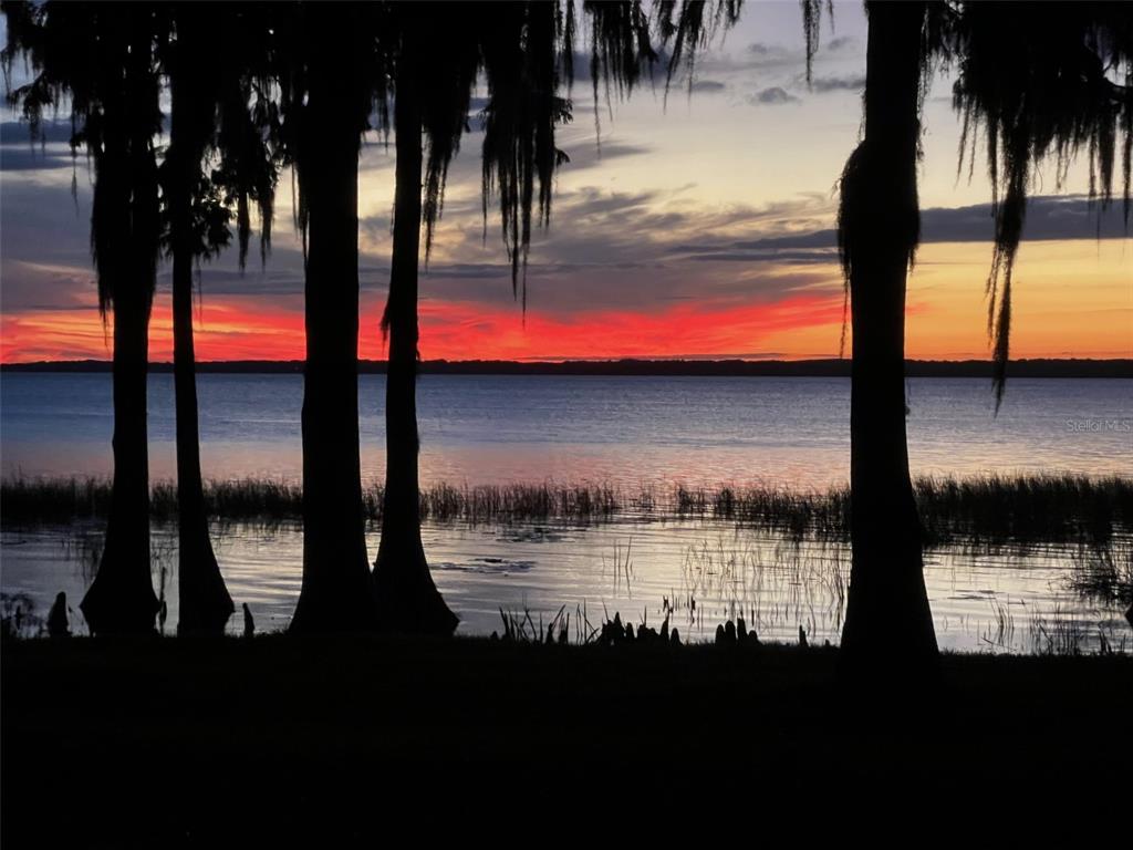 A vibrant sunset over a lake framed by silhouetted cypress trees with Spanish moss — 11322 DEAD RIVER ROAD, TAVARES, FL