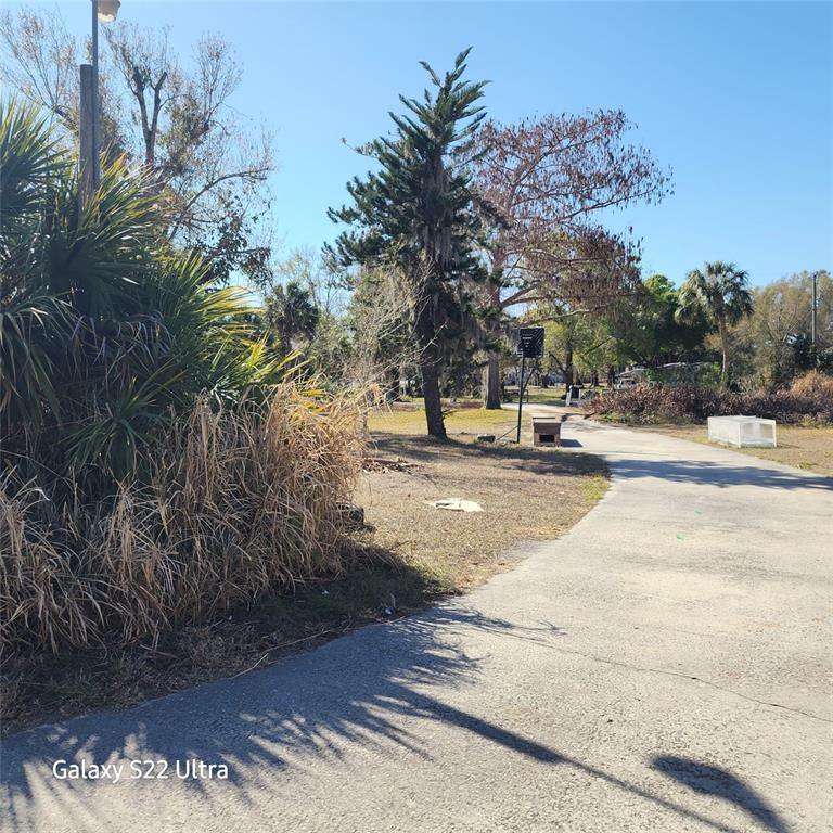A paved driveway leads toward a yard with trees, a basketball hoop, and sparse vegetation — 1870 SW PAX DUCES DRIVE E UNIT 1868, ARCADIA, FL