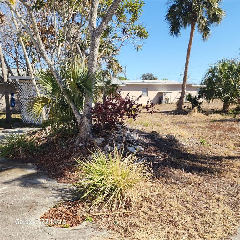 A view of a residential backyard with palm trees, landscaping, and a single-story house — 1870 SW PAX DUCES DRIVE E UNIT 1868, ARCADIA, FL