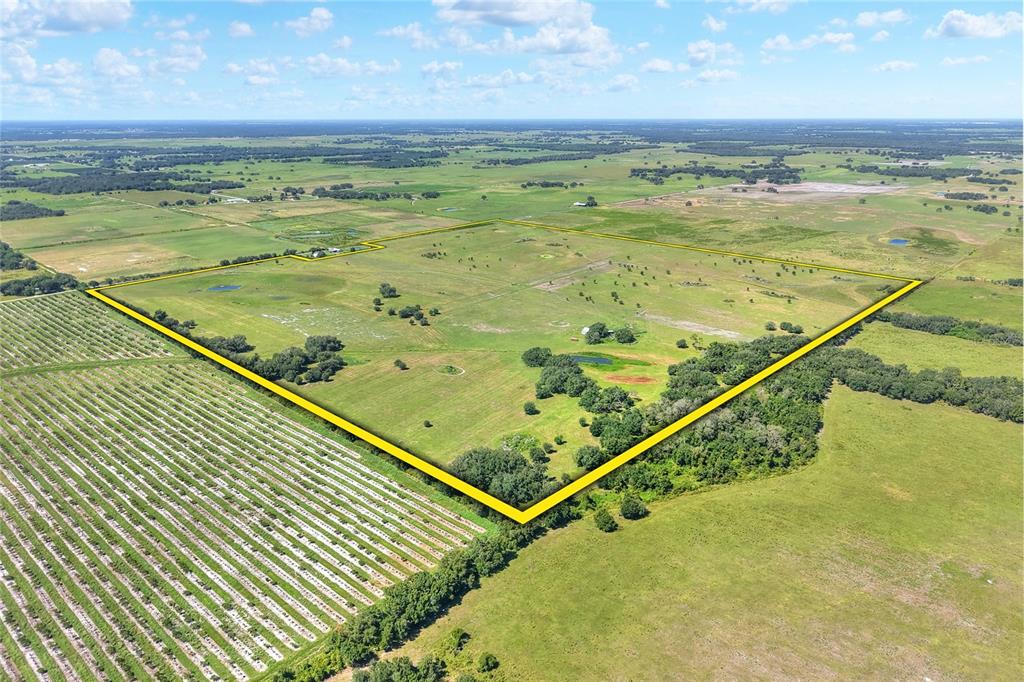 An aerial view shows a large, grassy plot of land outlined in yellow — NW LIMESTONE HEIGHTS STREET, ARCADIA, FL