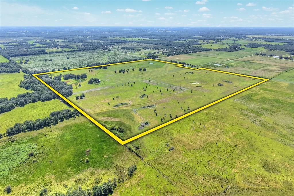 An aerial view shows a large, open grassy field outlined in yellow — NW LIMESTONE HEIGHTS STREET, ARCADIA, FL