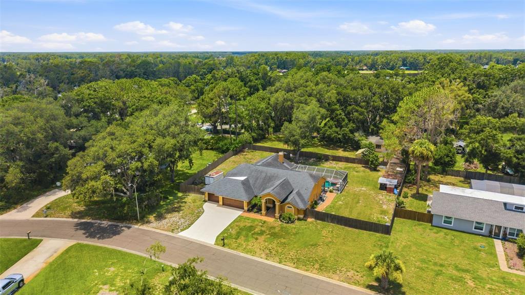 An aerial view shows a single-story house with a pool enclosure and a large yard — 19906 JODI DRIVE, LUTZ, FL